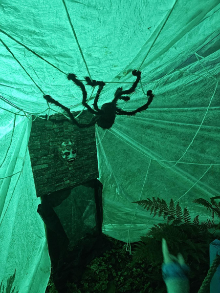 Halloween River Garden Stubbins 
17-Buildings and the Urban Environment-05-Street Scenes-027-Stubbins Lane and Stubbins area
Keywords: 2023