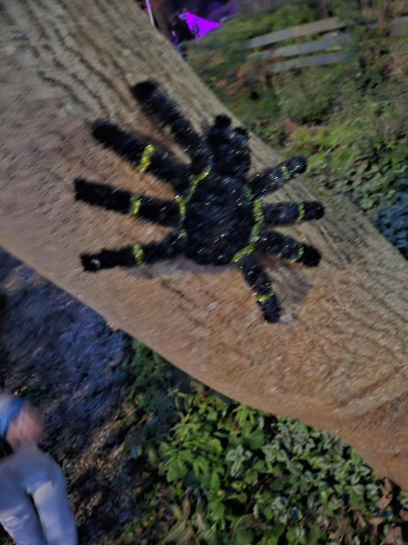 Halloween River Garden Stubbins 
17-Buildings and the Urban Environment-05-Street Scenes-027-Stubbins Lane and Stubbins area
Keywords: 2023