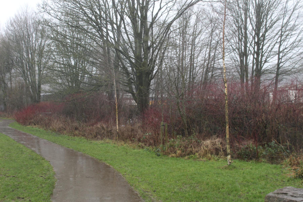 Level Crossing Nuttall Park 
14-Leisure-01-Parks and Gardens-001-Nuttall Park General
Keywords: 2023