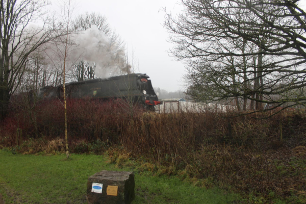 Path in Park side of East Lanc?s Railway Line 
14-Leisure-01-Parks and Gardens-001-Nuttall Park General
Keywords: 2023