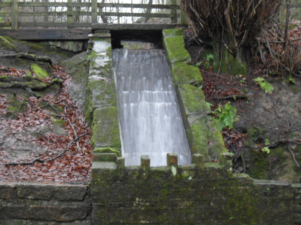 Water Fall in Nuttall Park in full flow
14-Leisure-01-Parks and Gardens-001-Nuttall Park General
Keywords: 2023