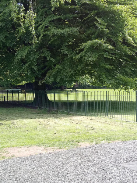 Nuttall Park
14-Leisure-01-Parks and Gardens-001-Nuttall Park General
Keywords: 2024