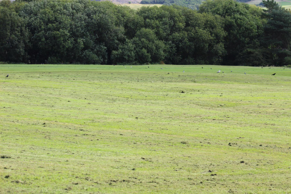 Top Park Bolton Rd West Redevelopment
14-Leisure-Gardens-01-Parks and Gardens-003-Top Park
Keywords: 2025