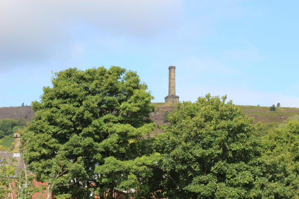 Peel Tower taken from Top Park
14-Leisure-Gardens-01-Parks and Gardens-003-Top Park
Keywords: 2025