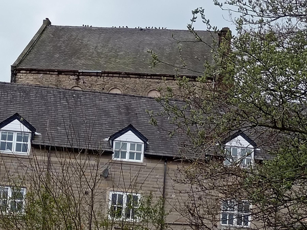 Cobden Mill Flats and Back of Coop Hall
17-Buildings and the Urban Environment-05-Street Scenes-026-Square Street area
Keywords: 2025