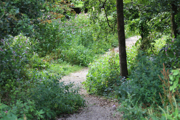 cut through from Holt St to Dundee Lane
17-Buildings and the Urban Environment-05-Street Scenes-010-Dundee Lane

Keywords: 2025