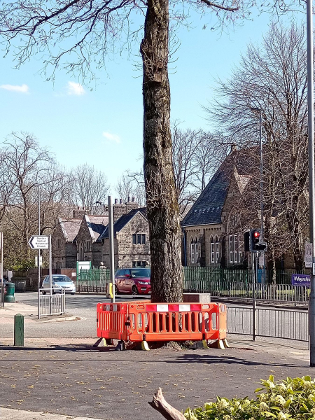 Gardens at Bolton rd West & Dundee Lane 
17-Buildings and the Urban Environment-05-Street Scenes-002-Bolton Road West
Keywords: 2025