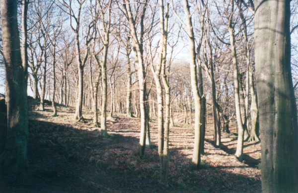 Buckden Woods  between Holcombe and Stubbins - National Trust
17-Buildings and the Urban Environment-05-Street Scenes-014-Holcombe Village
Keywords: 2000