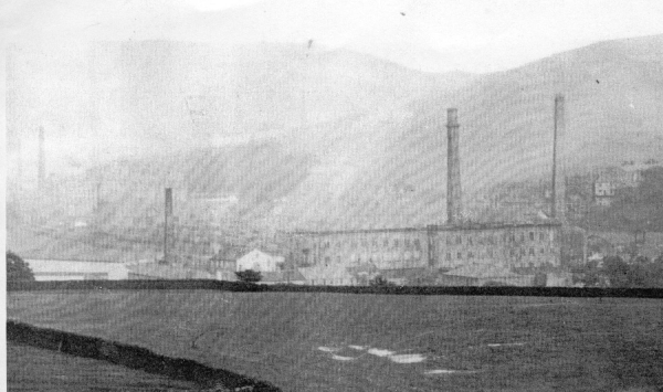 New Hall Hey mill area taken c 1910. Woollen mill centre Chimney to right New Hall Hey cotton mill. Farm bldgs in front, now Ross.Ground.Trust. Taken from off Haslingden R. 
02 - Industry - 01 - Mills
Keywords: Bury-Archive