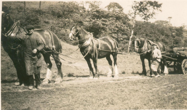 [mid 1920s) Rams Co-op lorry delivering provender to farms ...in Redisher Woods.  Carters are J. Oldfield (L] & V. Livesey
03 - Shops, Restaurants & Hotels - 01 - Ramsbottom Co-op
Keywords: Bury-Archive