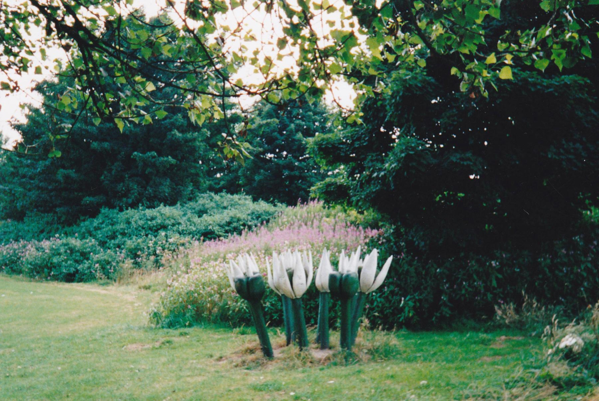 Sculptures at Nuttall Park
14 - Leisure - 01 - Parks and Gardens
Keywords: Bury-Archive