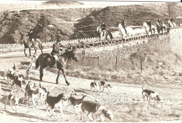 Holcombe Hunt walking at Owd Betts, Turn. Heywood boundary n.d.
14 - Leisure - 03 - Tourism
Keywords: Bury-Archive