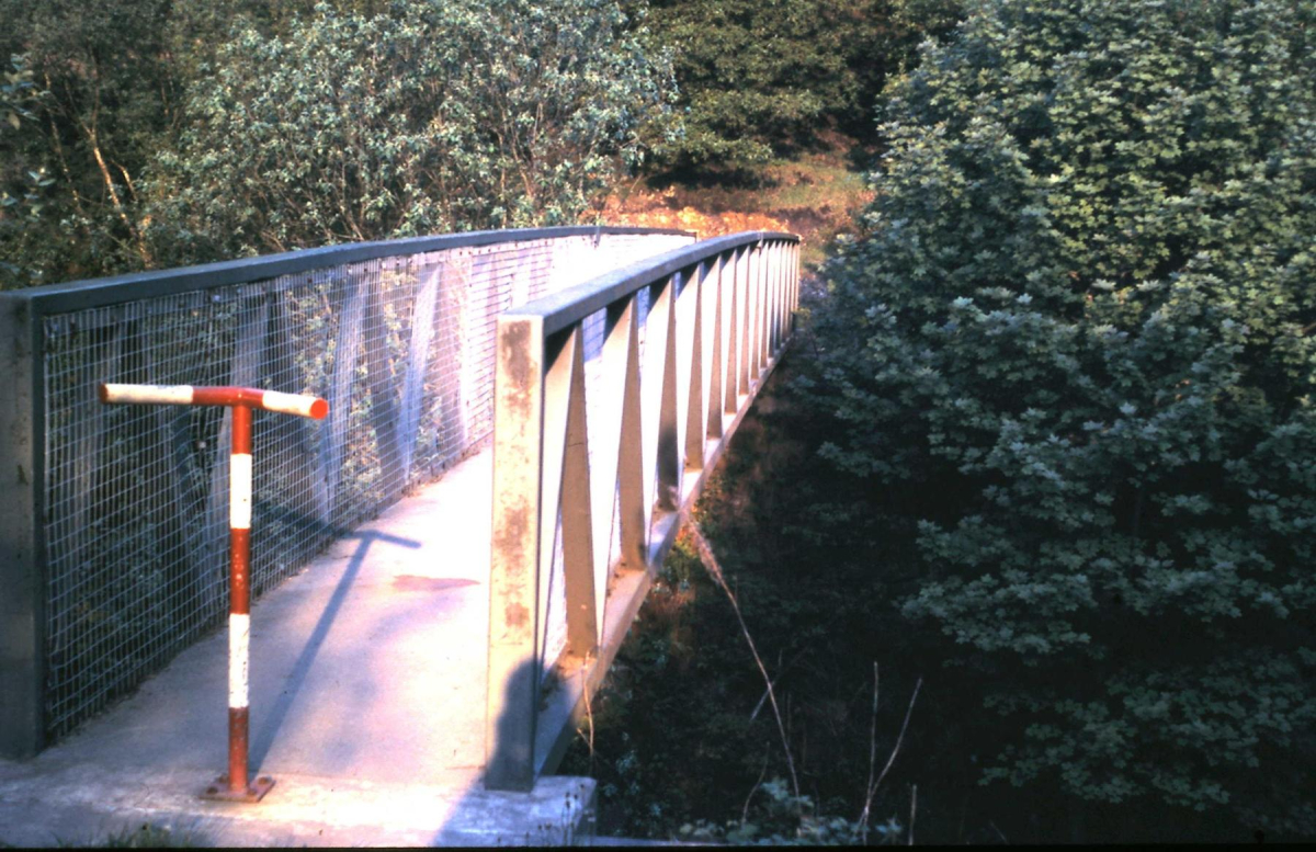 Nuttall Foot Bridge 
16 - Transport - 01 - Car and Roads
Keywords: Bury-Archive