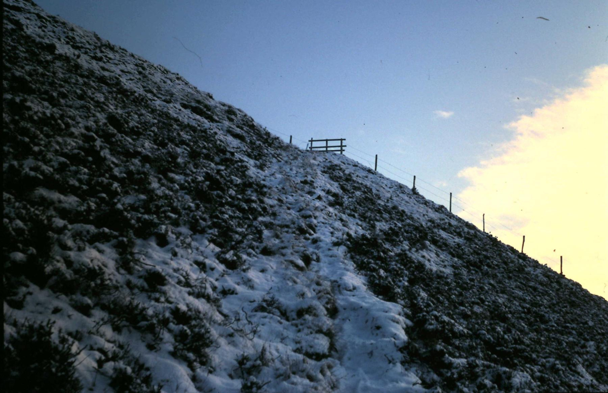 Holcombe Moor
18 - Agriculture and the Natural Environment - 03 - Topography
Keywords: Bury-Archive