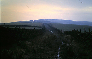 RHSBA21-18-03-039-03.JPG