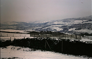 RHSBA21-18-03-039-06.JPG