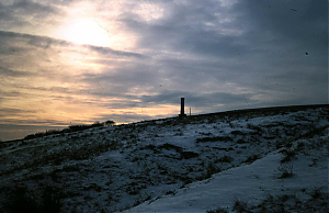 RHSBA21-18-03-039-07.JPG