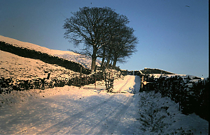 RHSBA21-18-03-039-08.JPG