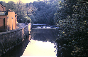 RHSBA21-18-03-040.JPG