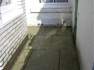 RHSWS21-17-05-005-03.JPG
