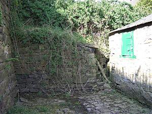 RHSWS21-17-05-005-07.JPG