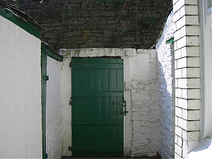 RHSWS21-17-05-005-08.JPG