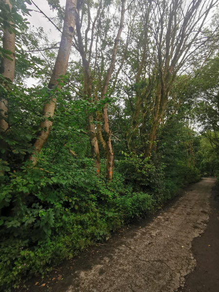 Water Treatment work by United Utilities in Nuttall Village from 2023 - 2026
17-Buildings and the Urban Environment-05-Street Scenes-019-Nuttall area
