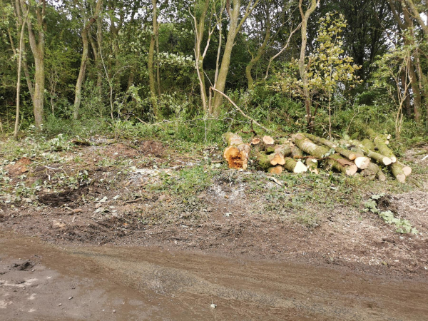 Water Treatment work by United Utilities in Nuttall Village from 2023 - 2026
17-Buildings and the Urban Environment-05-Street Scenes-019-Nuttall area
