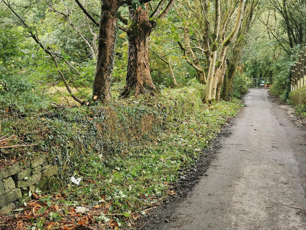 Water Treatment work by United Utilities in Nuttall Village from 2023 - 2026
17-Buildings and the Urban Environment-05-Street Scenes-019-Nuttall area
