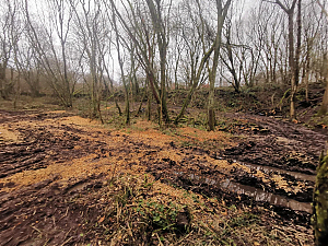 Filename=RHSDC21-COLL-UTIL-005.jpg
Filesize=557KiB
Dimensions=1800x1350
Date added=Feb 20, 2026 RHSDC21-COLL-UTIL-005.jpg