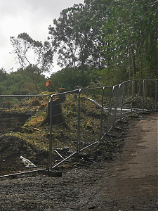 Filename=RHSDC21-COLL-UTIL-007.jpg
Filesize=436KiB
Dimensions=1350x1800
Date added=Feb 20, 2026 RHSDC21-COLL-UTIL-007.jpg