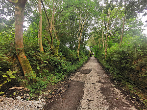 Filename=RHSDC21-COLL-UTIL-012.jpg
Filesize=674KiB
Dimensions=1800x1350
Date added=Feb 20, 2026 RHSDC21-COLL-UTIL-012.jpg