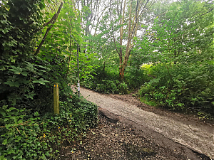 Filename=RHSDC21-COLL-UTIL-014.jpg
Filesize=622KiB
Dimensions=1800x1350
Date added=Feb 20, 2026 RHSDC21-COLL-UTIL-014.jpg