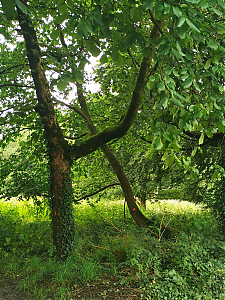 Filename=RHSDC21-COLL-UTIL-017.jpg
Filesize=656KiB
Dimensions=1350x1800
Date added=Feb 20, 2026 RHSDC21-COLL-UTIL-017.jpg