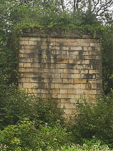 Filename=RHSDC21-COLL-UTIL-019.jpg
Filesize=466KiB
Dimensions=1350x1800
Date added=Feb 20, 2026 RHSDC21-COLL-UTIL-019.jpg