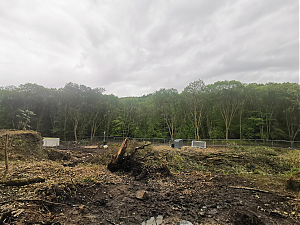 Filename=RHSDC21-COLL-UTIL-021.jpg
Filesize=416KiB
Dimensions=1800x1350
Date added=Feb 20, 2026 RHSDC21-COLL-UTIL-021.jpg