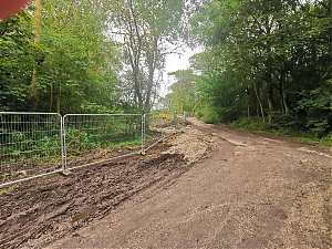 Filename=RHSDC21-COLL-UTIL-026.jpg
Filesize=695KiB
Dimensions=1800x1350
Date added=Feb 20, 2026 RHSDC21-COLL-UTIL-026.jpg