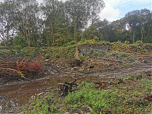 Filename=RHSDC21-COLL-UTIL-027.jpg
Filesize=785KiB
Dimensions=1800x1350
Date added=Feb 20, 2026 RHSDC21-COLL-UTIL-027.jpg