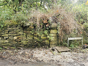 Filename=RHSDC21-COLL-UTIL-031.jpg
Filesize=778KiB
Dimensions=1800x1350
Date added=Feb 20, 2026 RHSDC21-COLL-UTIL-031.jpg