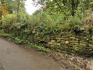 Filename=RHSDC21-COLL-UTIL-032.jpg
Filesize=688KiB
Dimensions=1800x1350
Date added=Feb 20, 2026 RHSDC21-COLL-UTIL-032.jpg