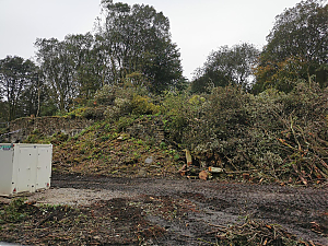 Filename=RHSDC21-COLL-UTIL-033.jpg
Filesize=656KiB
Dimensions=1800x1350
Date added=Feb 20, 2026 RHSDC21-COLL-UTIL-033.jpg