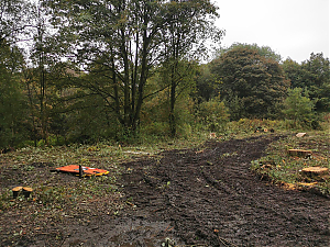 Filename=RHSDC21-COLL-UTIL-034.jpg
Filesize=664KiB
Dimensions=1800x1350
Date added=Feb 20, 2026 RHSDC21-COLL-UTIL-034.jpg