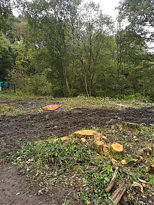 Filename=RHSDC21-COLL-UTIL-035.jpg
Filesize=729KiB
Dimensions=1350x1800
Date added=Feb 20, 2026 RHSDC21-COLL-UTIL-035.jpg