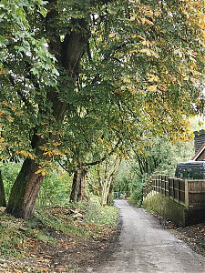 Filename=RHSDC21-COLL-UTIL-036.jpg
Filesize=727KiB
Dimensions=1350x1800
Date added=Feb 20, 2026 RHSDC21-COLL-UTIL-036.jpg