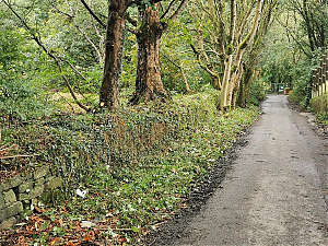 Filename=RHSDC21-COLL-UTIL-038.jpg
Filesize=914KiB
Dimensions=1800x1350
Date added=Feb 20, 2026 RHSDC21-COLL-UTIL-038.jpg