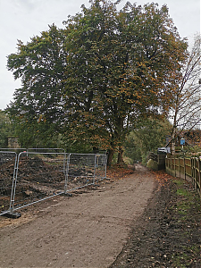 Filename=RHSDC21-COLL-UTIL-042.jpg
Filesize=660KiB
Dimensions=1350x1800
Date added=Feb 20, 2026 RHSDC21-COLL-UTIL-042.jpg