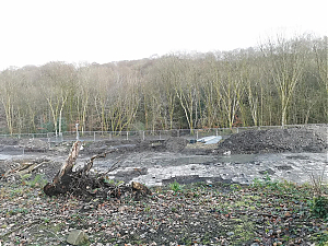 Filename=RHSDC21-COLL-UTIL-054.jpg
Filesize=550KiB
Dimensions=1800x1350
Date added=Feb 20, 2026 RHSDC21-COLL-UTIL-054.jpg