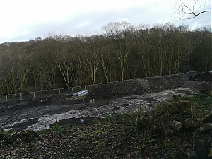 Filename=RHSDC21-COLL-UTIL-062.jpg
Filesize=449KiB
Dimensions=1800x1350
Date added=Feb 20, 2026 RHSDC21-COLL-UTIL-062.jpg