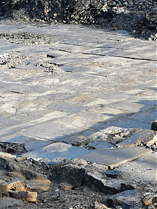 Filename=RHSDC21-COLL-UTIL-066.jpg
Filesize=485KiB
Dimensions=1350x1800
Date added=Feb 20, 2026 RHSDC21-COLL-UTIL-066.jpg