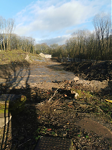 Filename=RHSDC21-COLL-UTIL-067.jpg
Filesize=474KiB
Dimensions=1350x1800
Date added=Feb 20, 2026 RHSDC21-COLL-UTIL-067.jpg